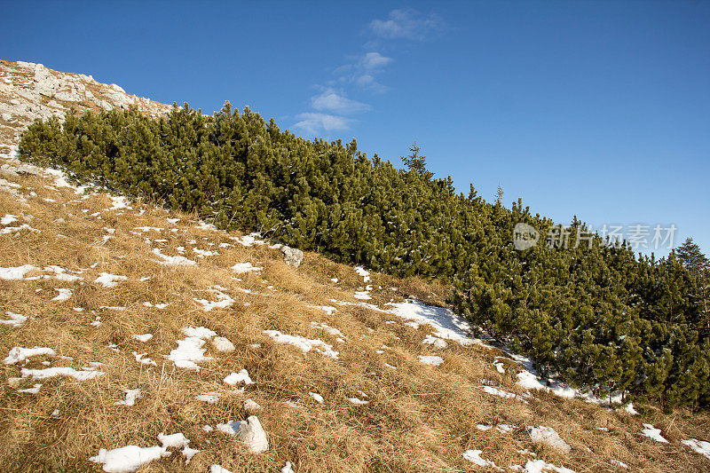 斯洛文尼亚的朱利安阿尔卑斯山，Debela Pec 2014 m峰，特里格拉夫的冬季徒步旅行，雪峰和薄雾